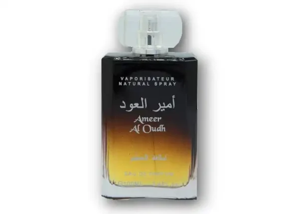 Ameer Al Oudh – Bild 2