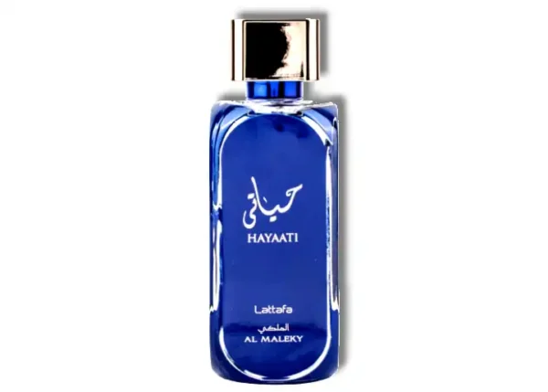 Hayaati Al Maleky – Bild 2